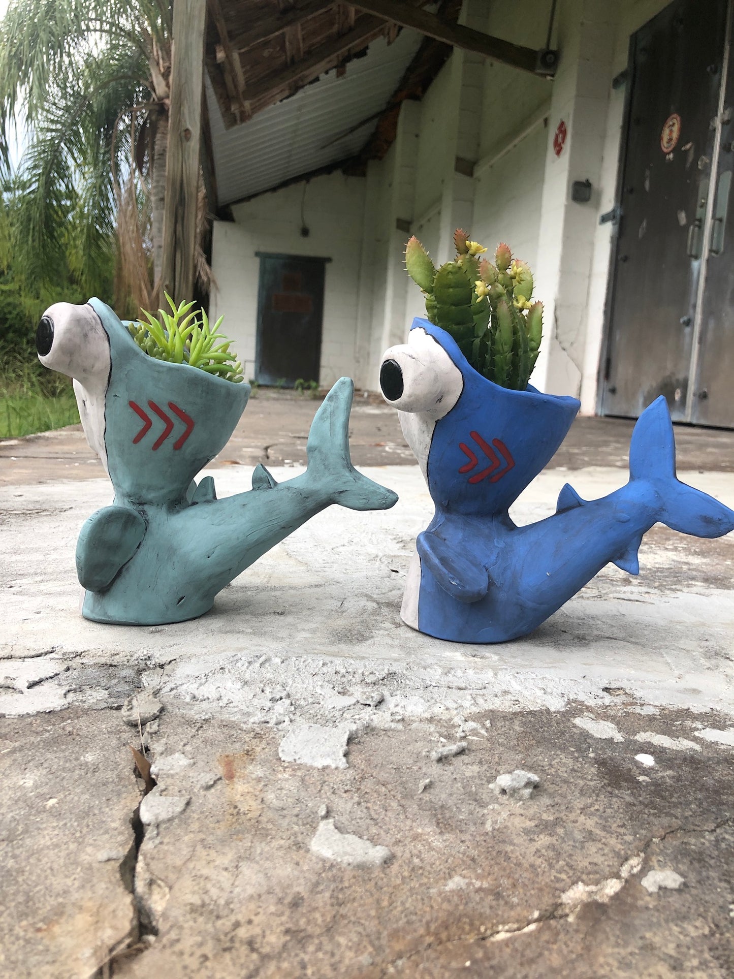 Shark Week Hammerhead Shark Potheads