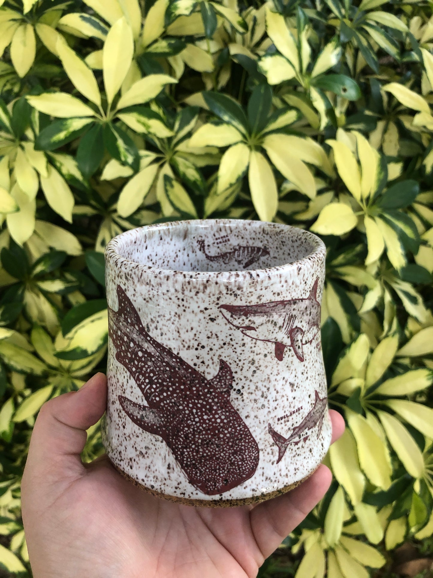 **Preorder**Shark Week Kind Mug