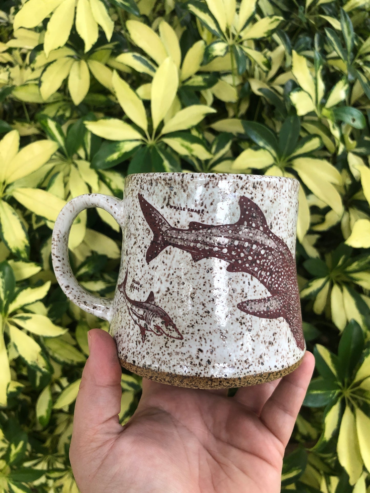 **Preorder**Shark Week Kind Mug