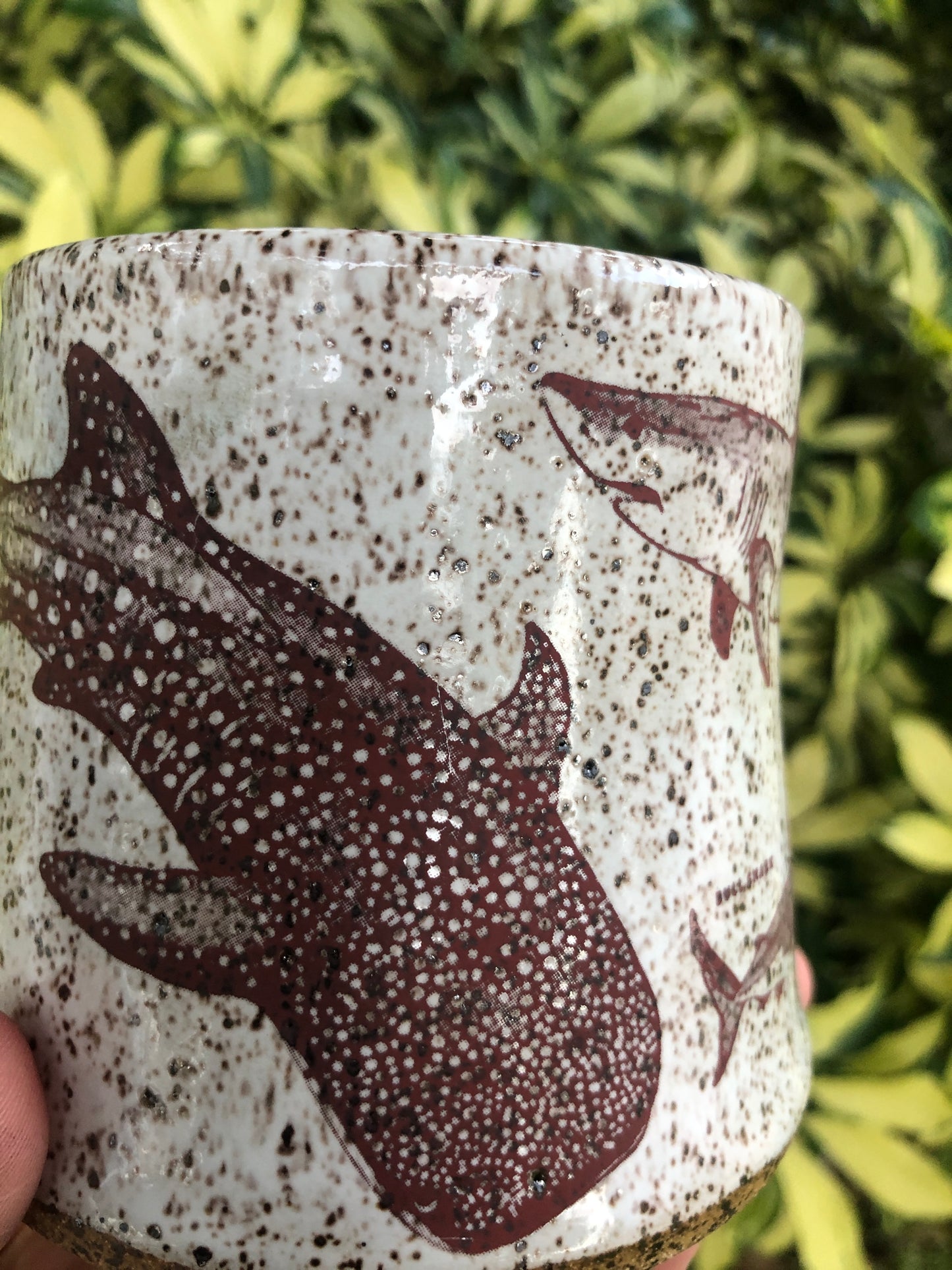 **Preorder**Shark Week Kind Mug