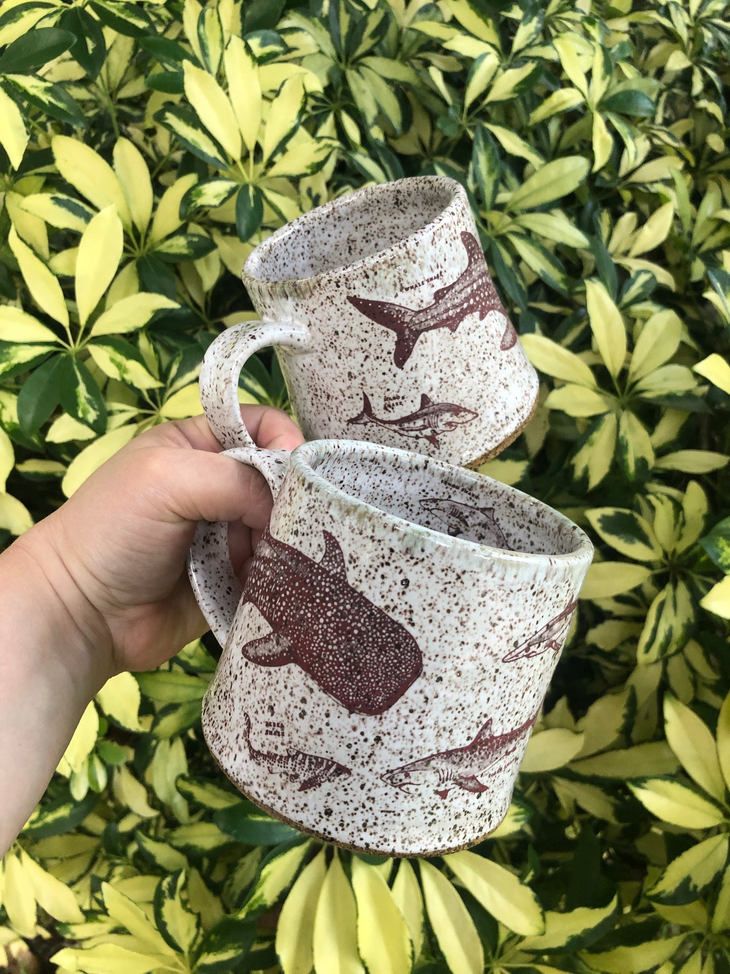 **Preorder**Shark Week Kind Mug