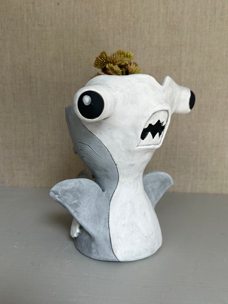 Mallet the Hammerhead Shark