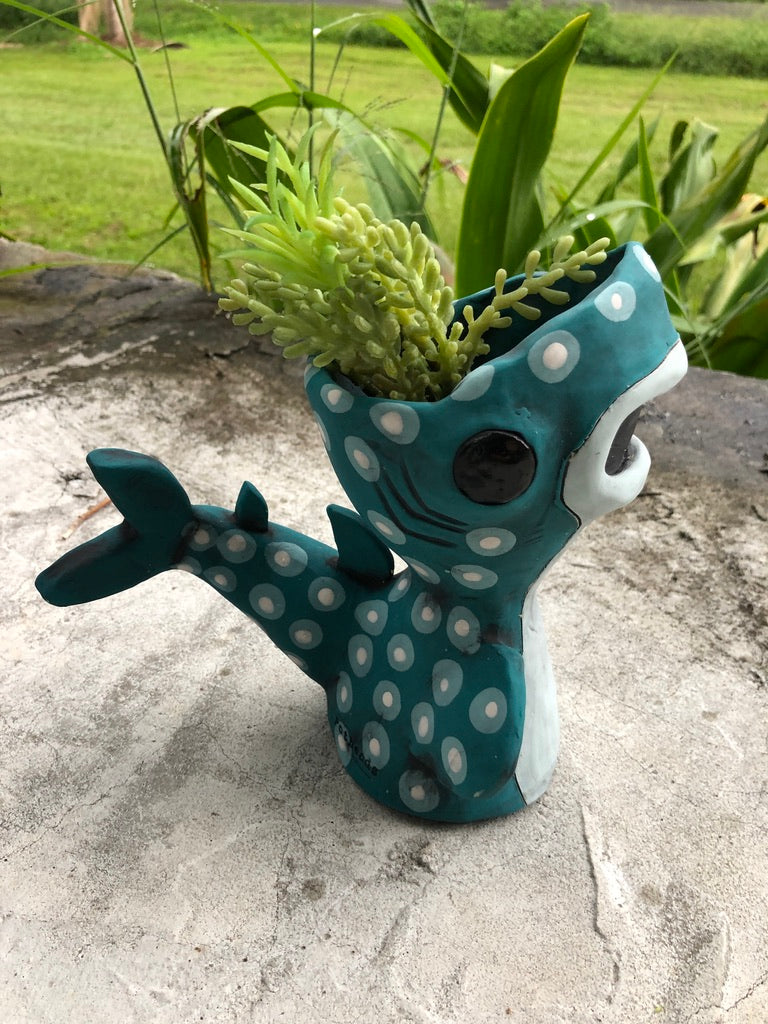 Shark Week Whale Shark Pothead