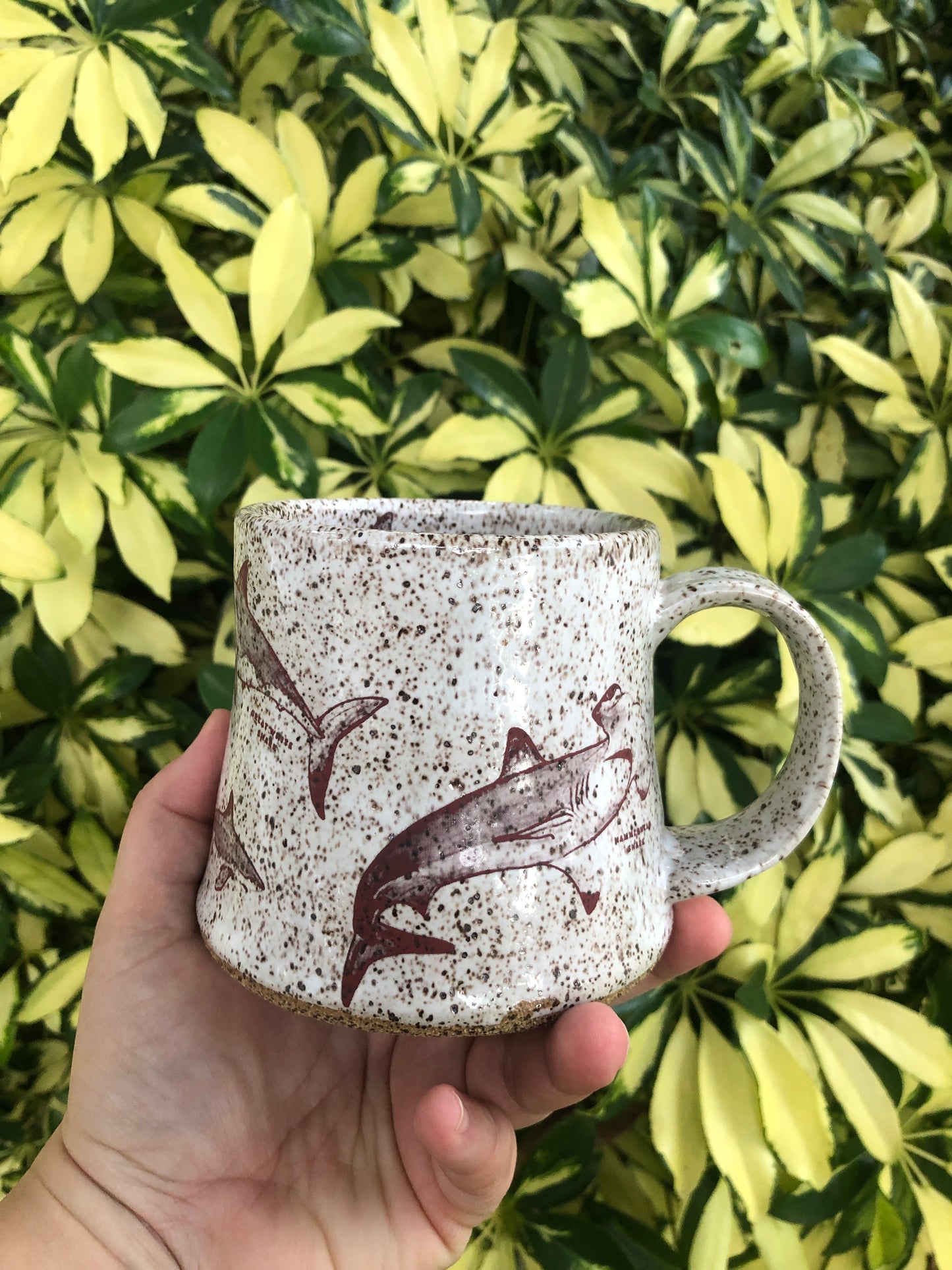 **Preorder**Shark Week Kind Mug