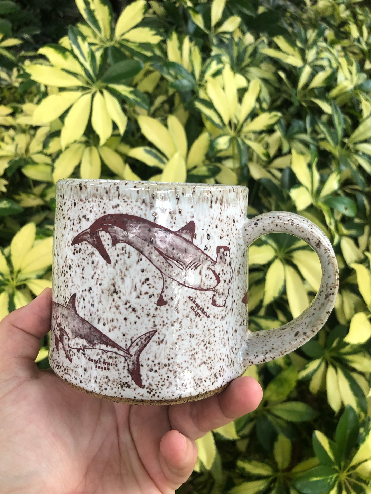 **Preorder**Shark Week Kind Mug
