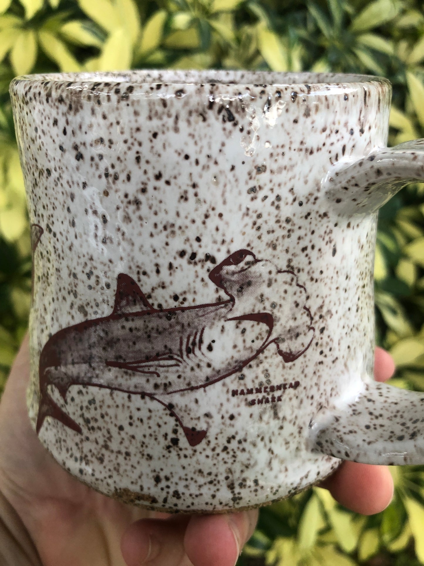 **Preorder**Shark Week Kind Mug