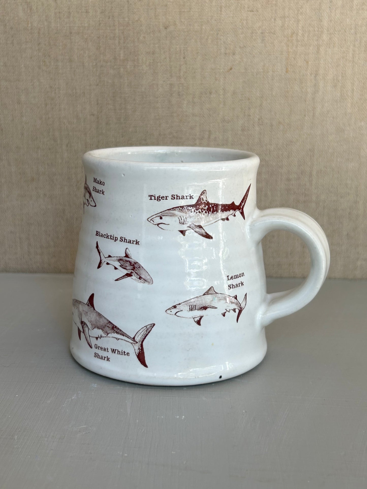 Shark Kind Mug White
