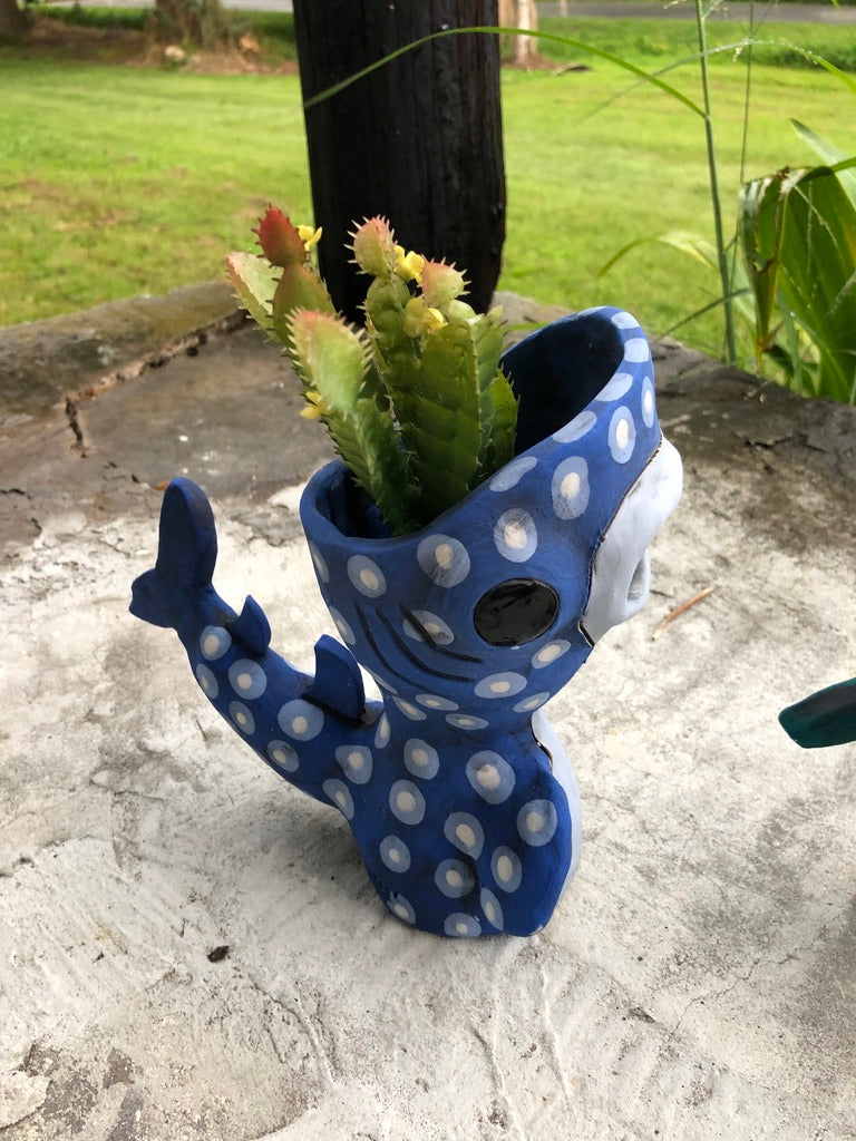 Shark Week Whale Shark Pothead