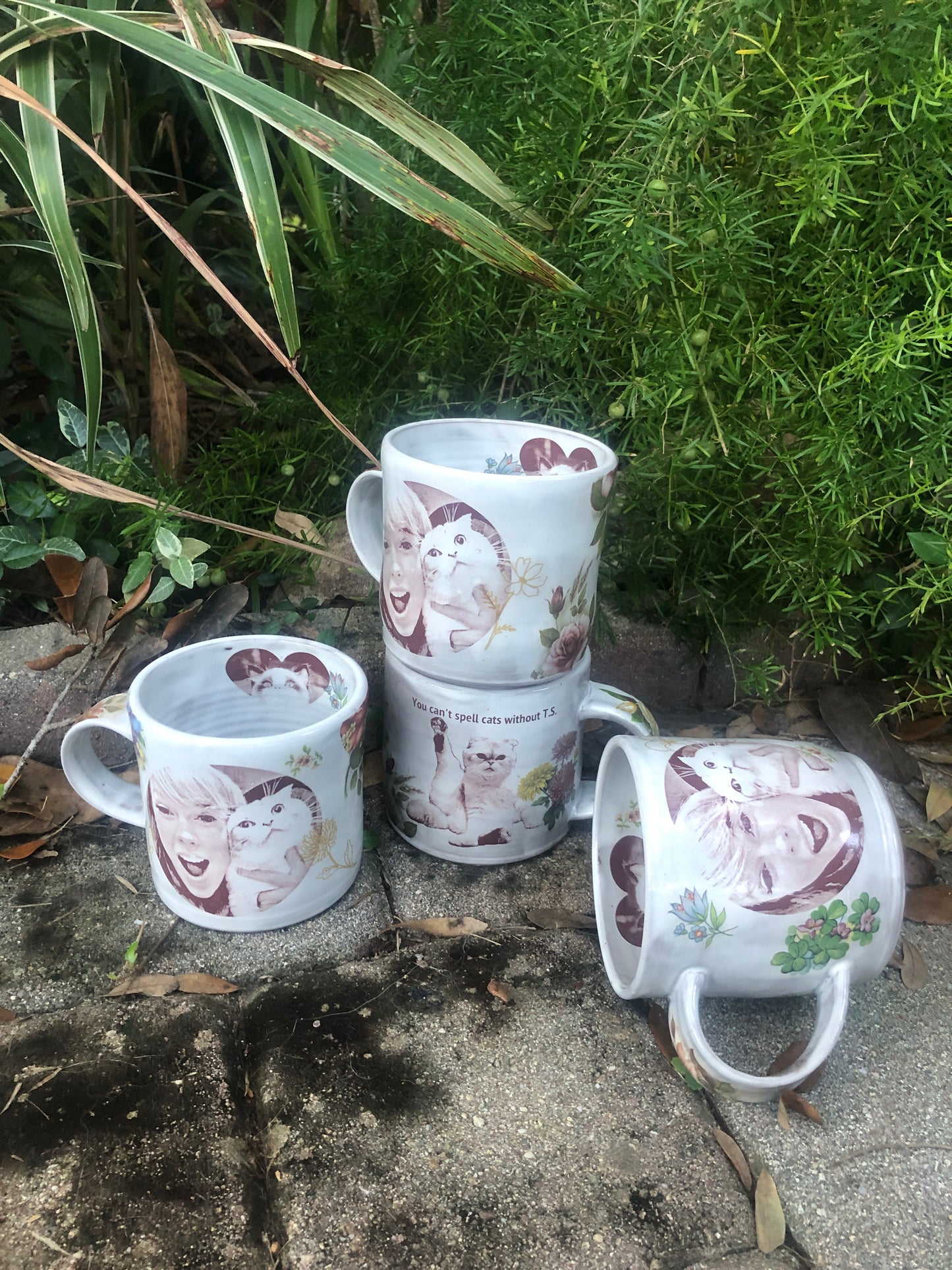 Taylor Swift Cat Charity Mug