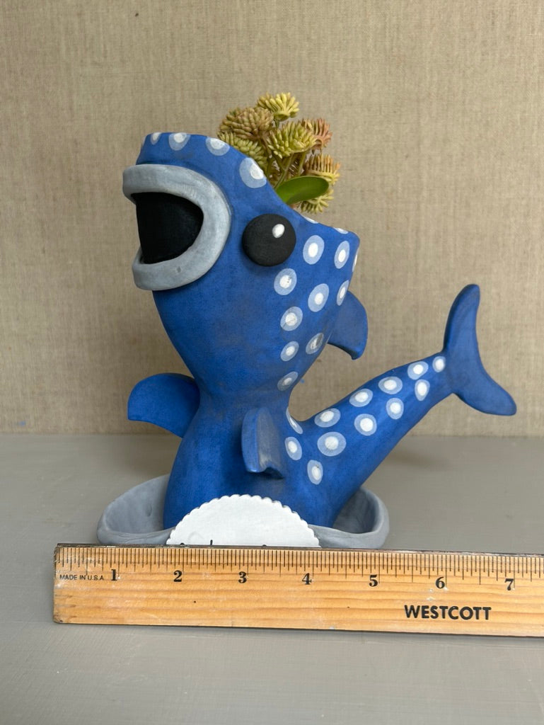 Winnie the Whale Shark