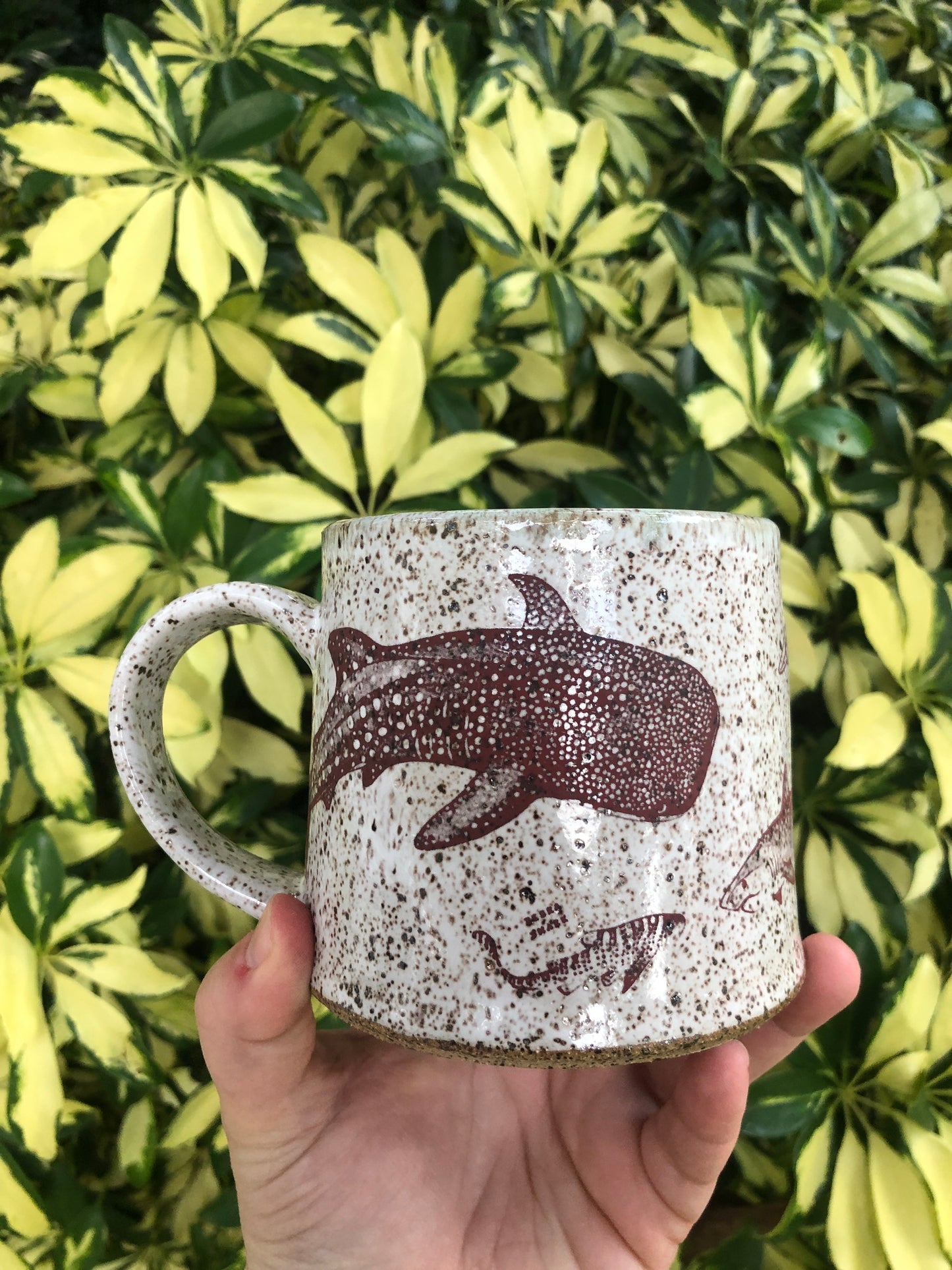 **Preorder**Shark Week Kind Mug