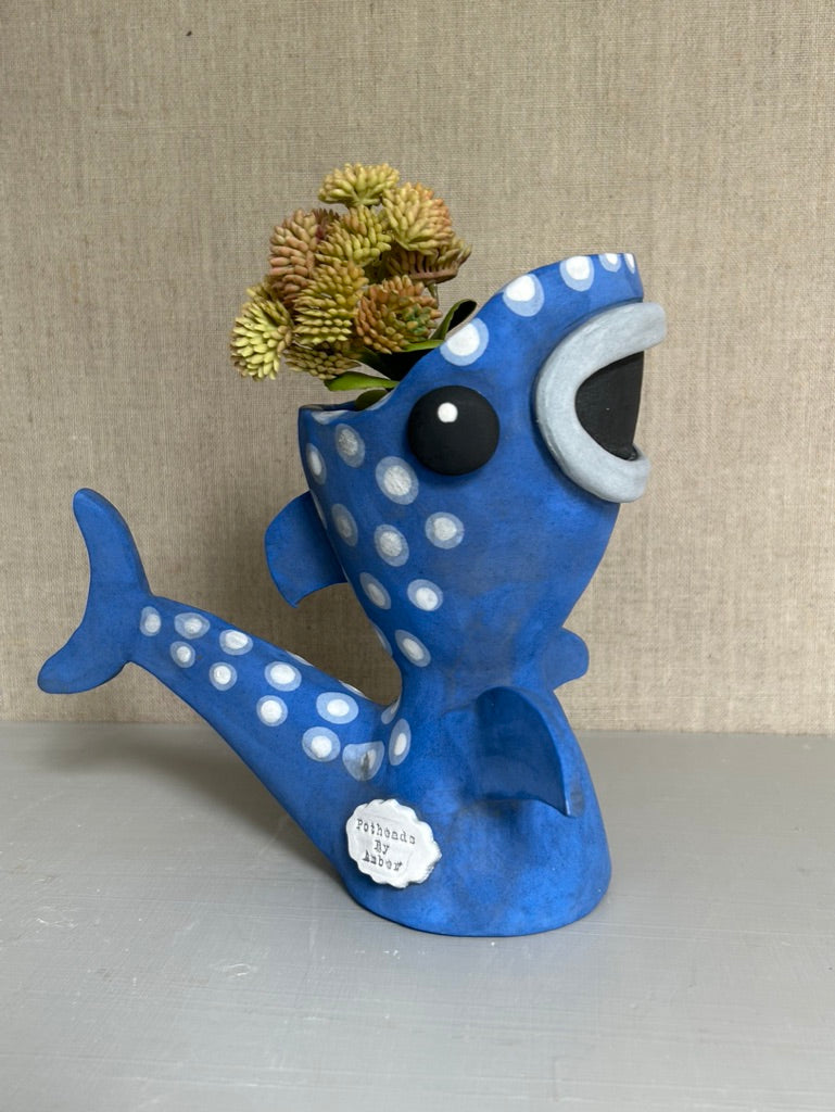 Winnie the Whale Shark