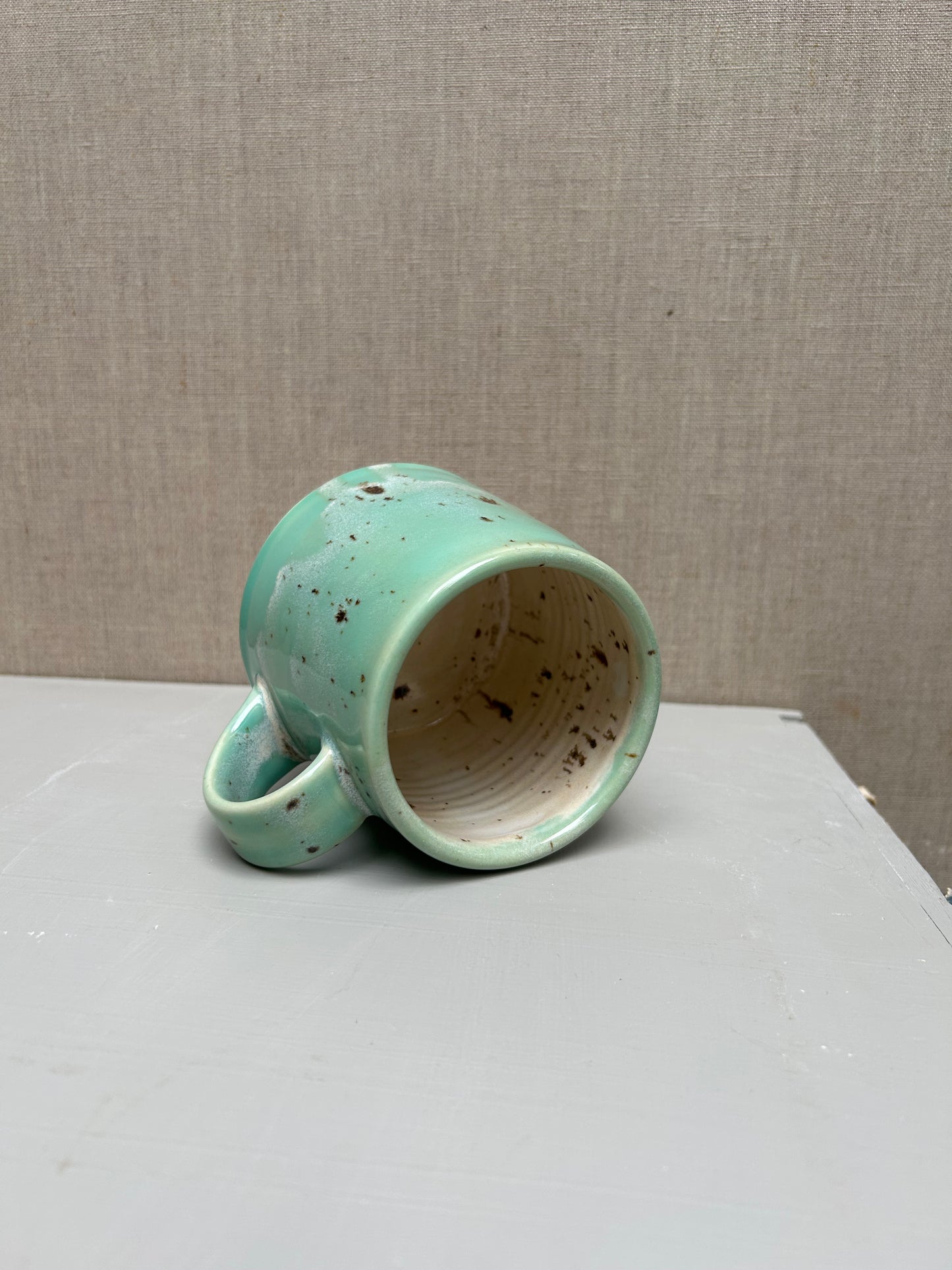 Succulent Green and River Birch Mug 2