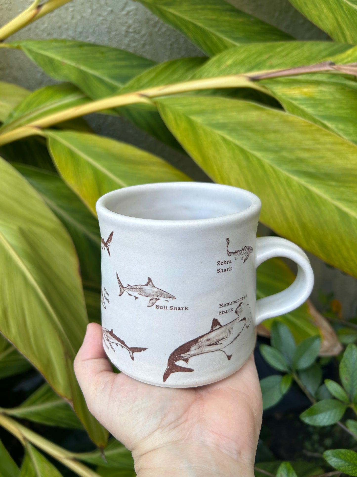 Shark Kind Mug B