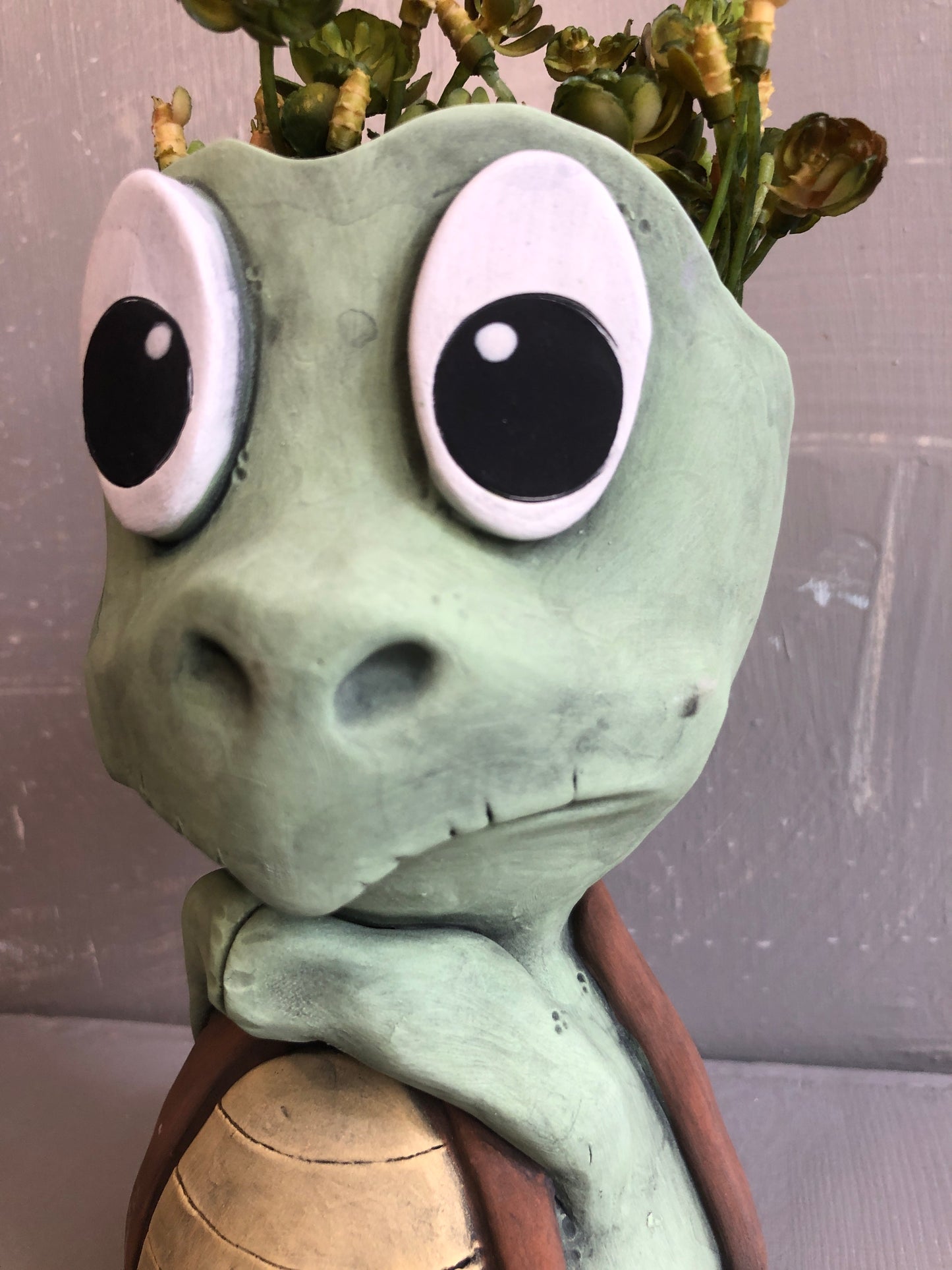 Pothead Turtle Todd