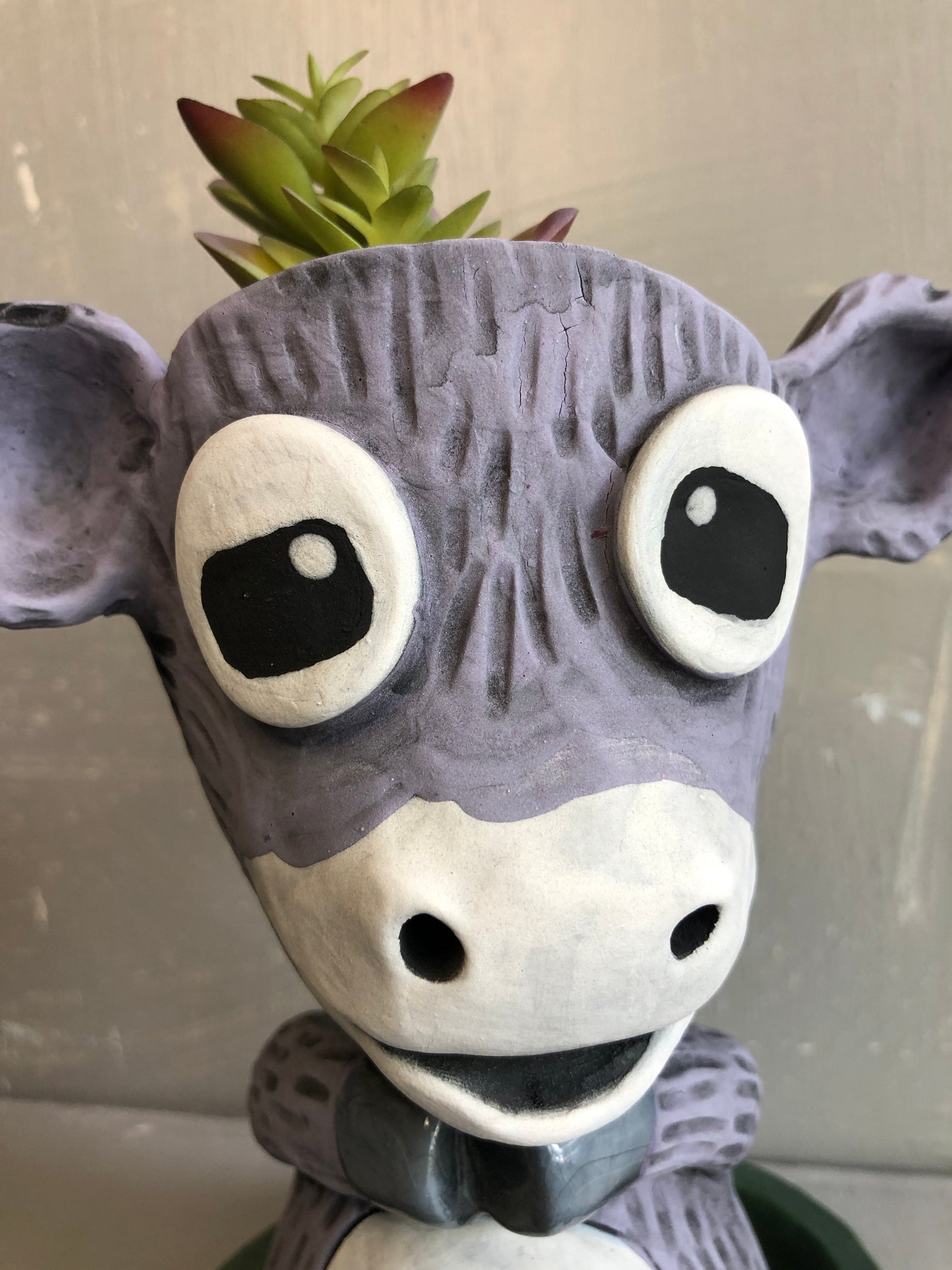 Pothead Geri Goat