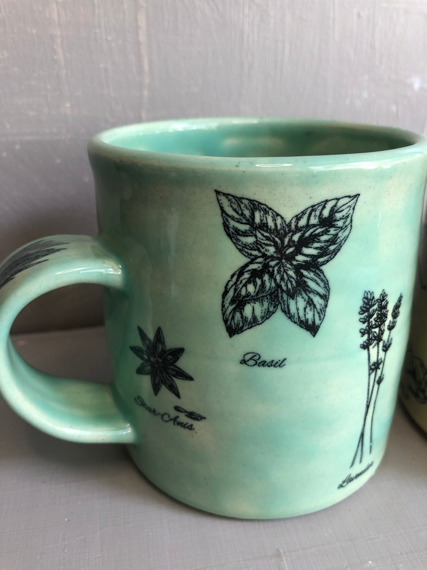 Herb Mug Succulent or Sand