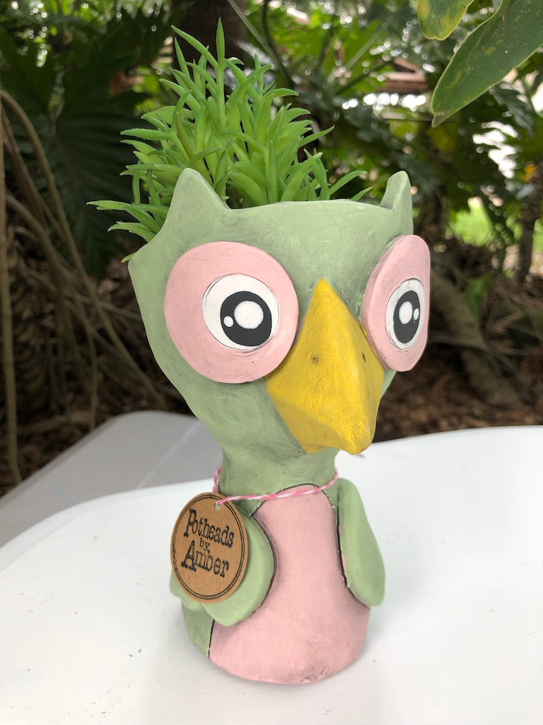 Oliver Owl Ceramic Planter