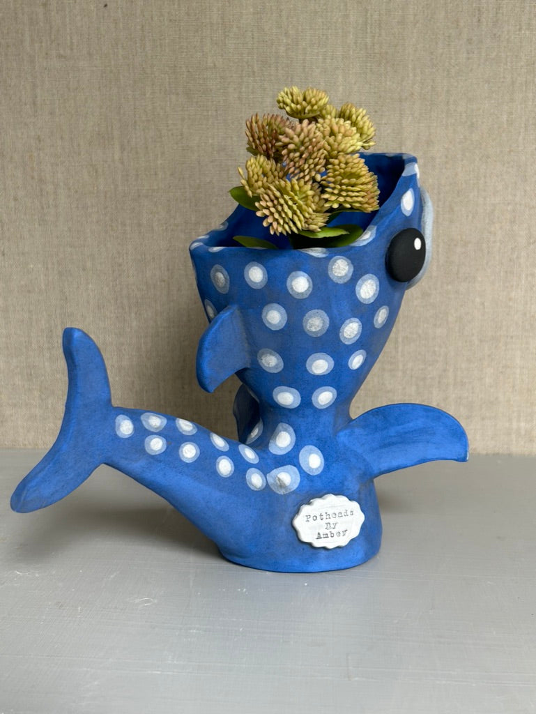 Winnie the Whale Shark