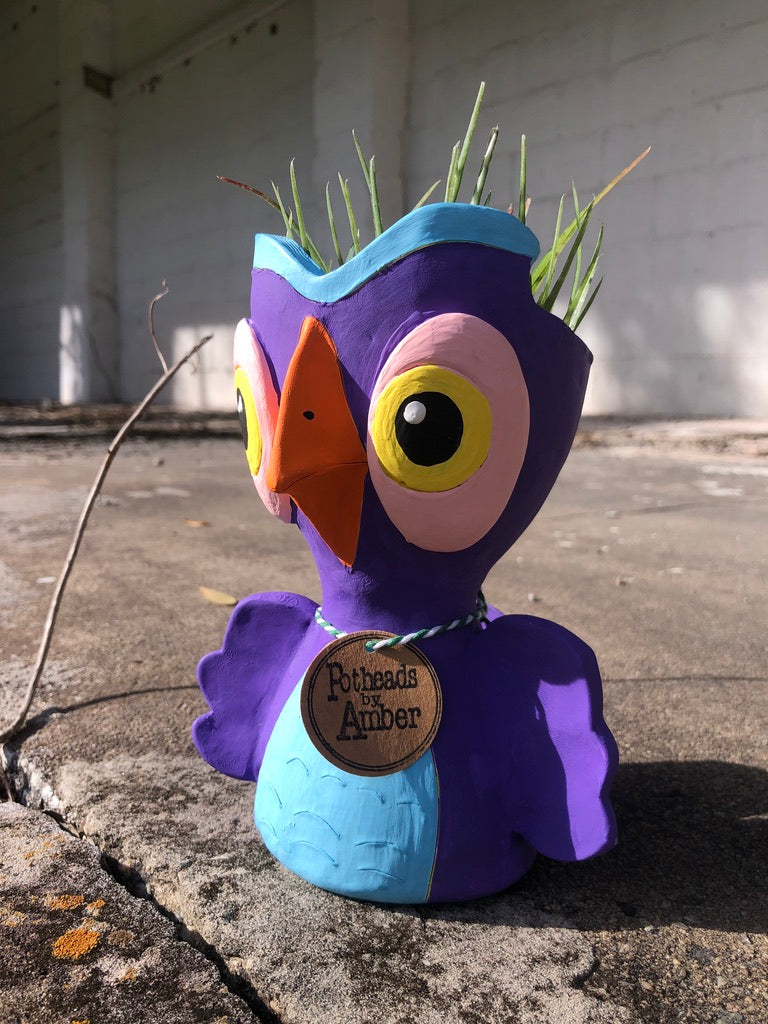 Ophelia Owl Pothead // Owl Succulent Planter