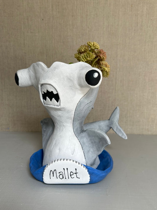 Mallet the Hammerhead Shark