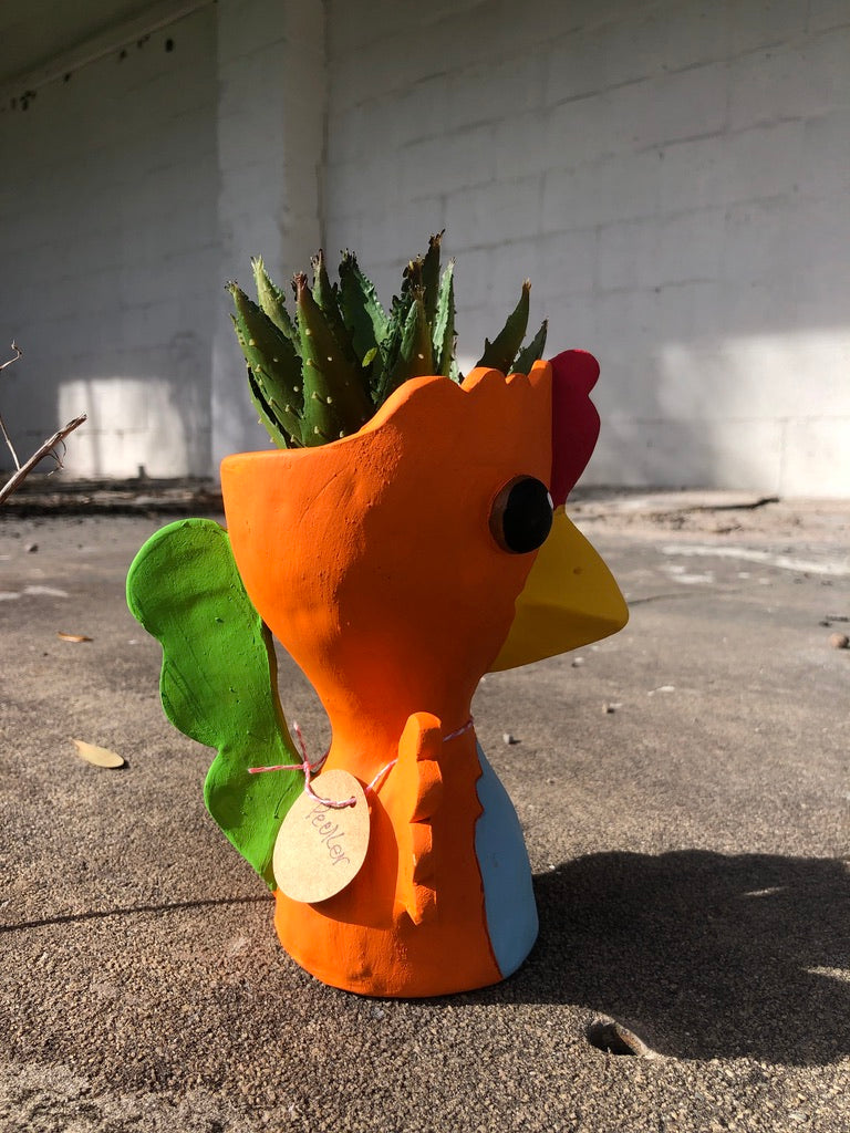 Pecker the Chicken Pothead // Chicken Succulent Planter