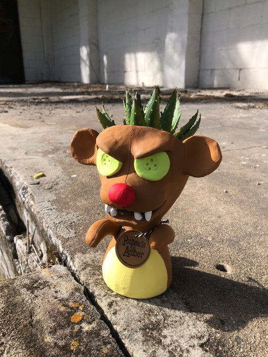 Cute but Deadly Teddy Pothead // Teddy Bear Succulent Planter