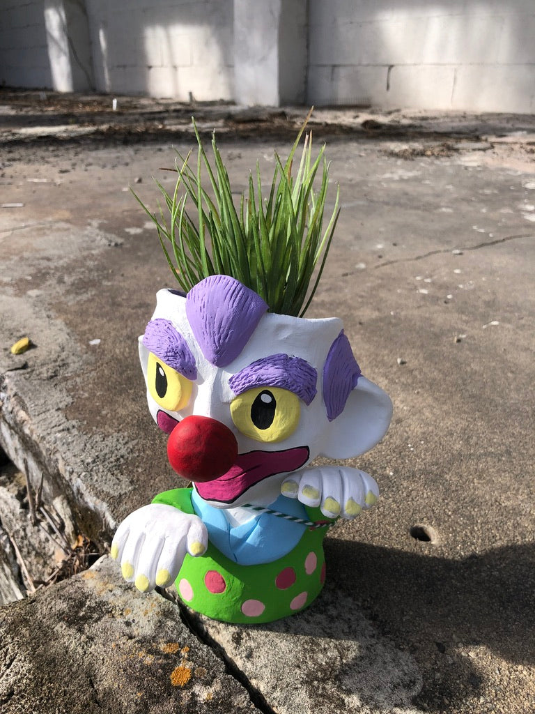 Mr. Clamptree Clown Pothead // Clown Succulent Planter