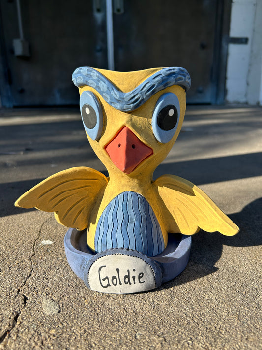 Golden Owl Pothead // Goldie