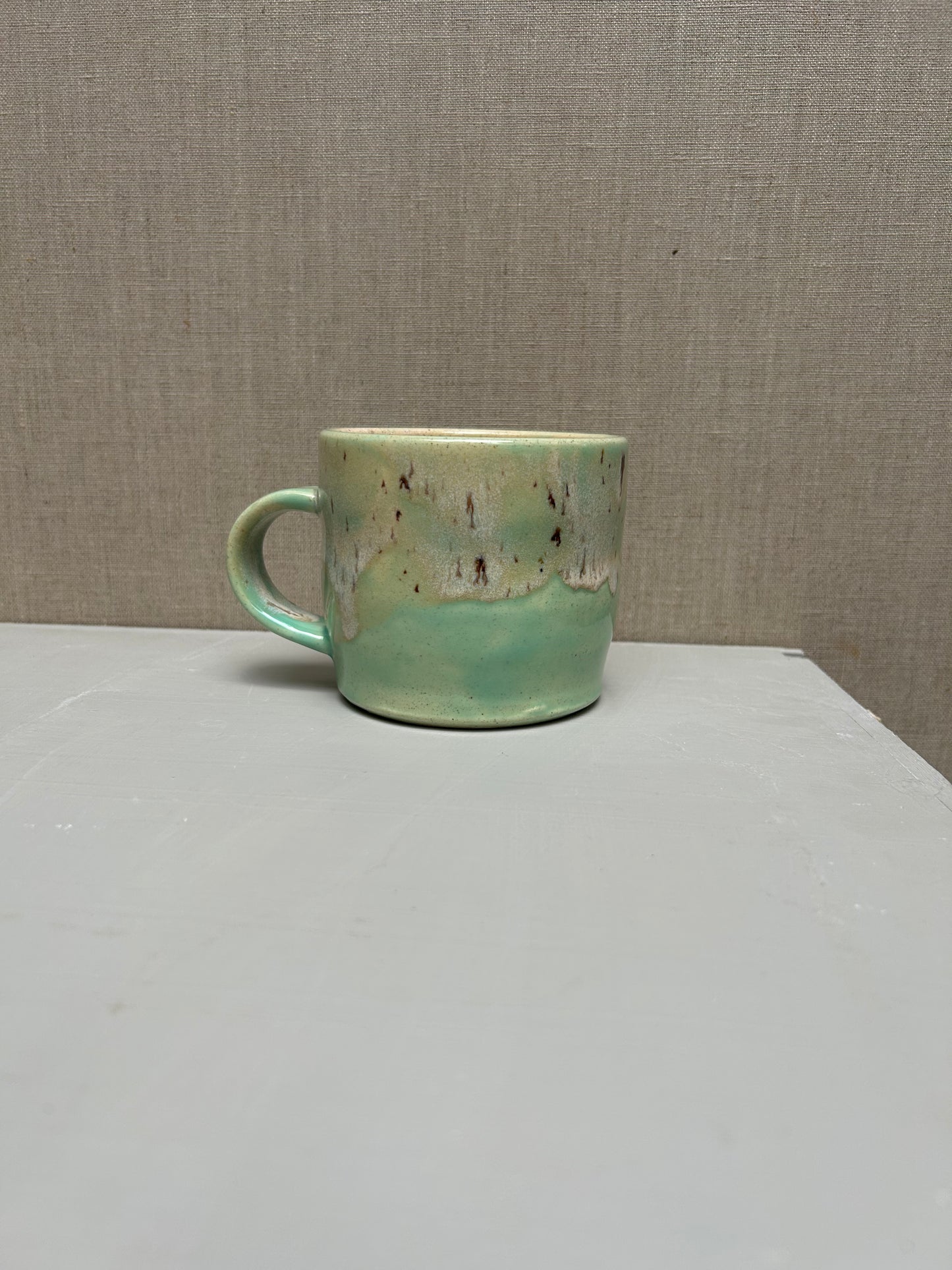 Succulent Green and River Birch Mug 1