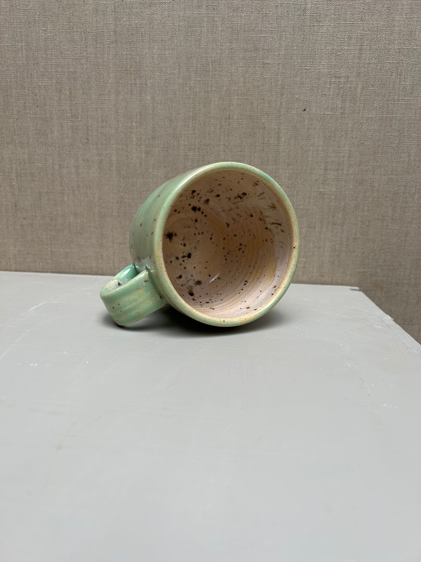 Succulent Green and River Birch Mug 1