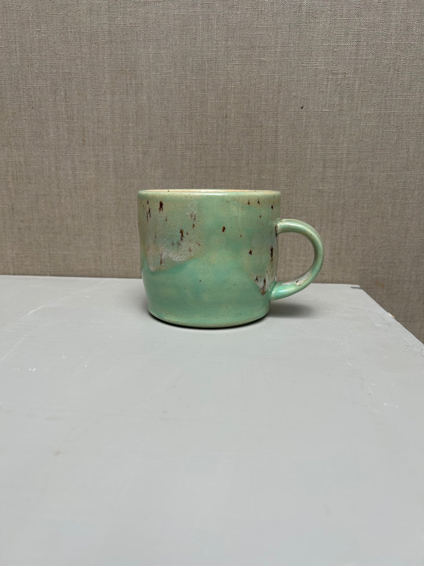 Succulent Green and River Birch Mug 1