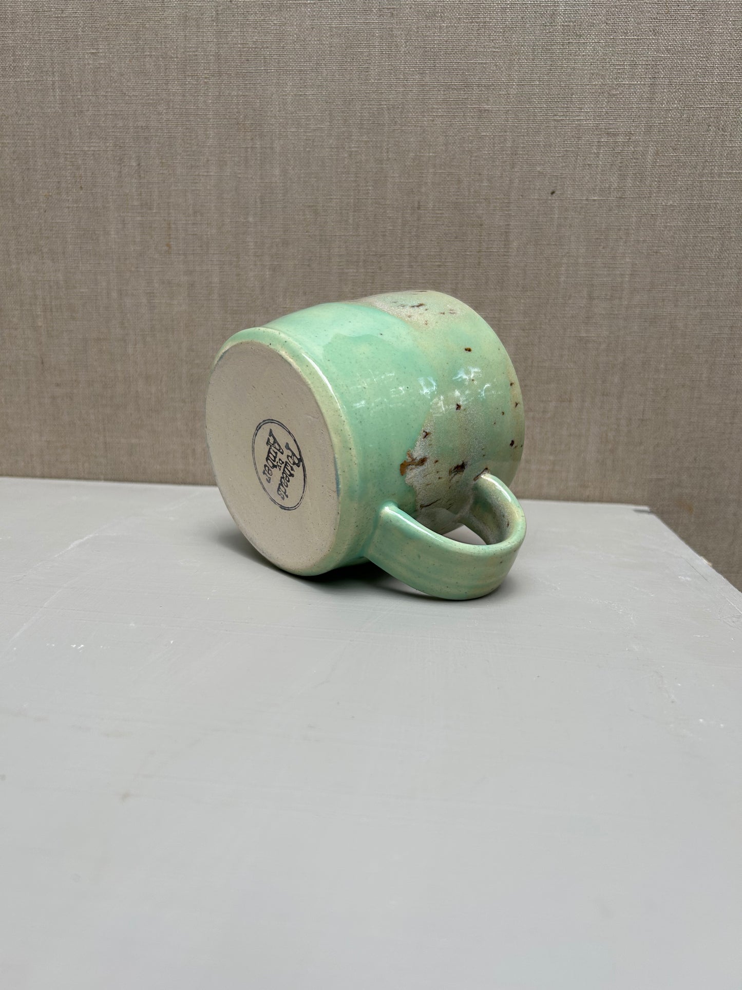 Succulent Green and River Birch Mug 1