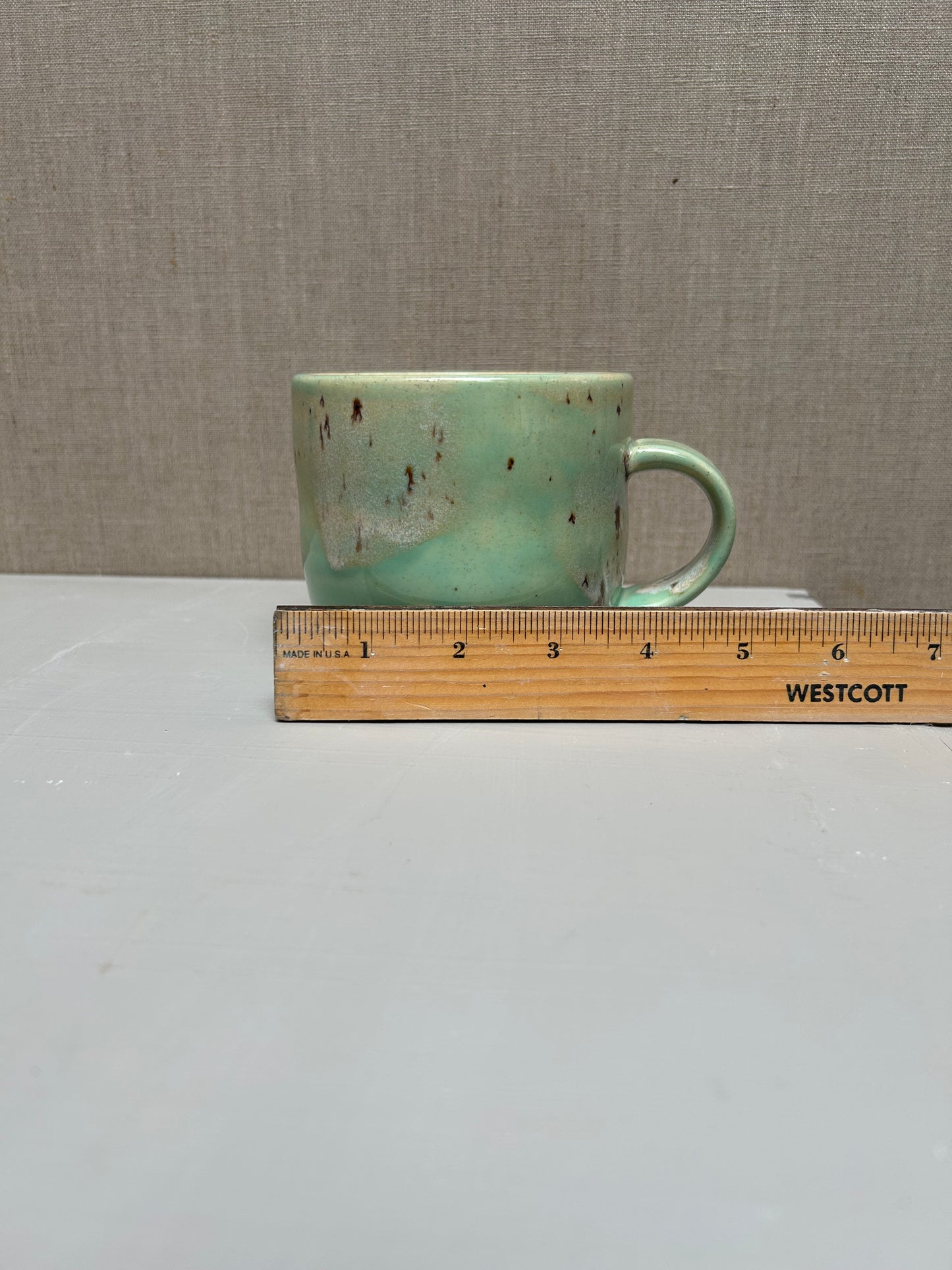 Succulent Green and River Birch Mug 1