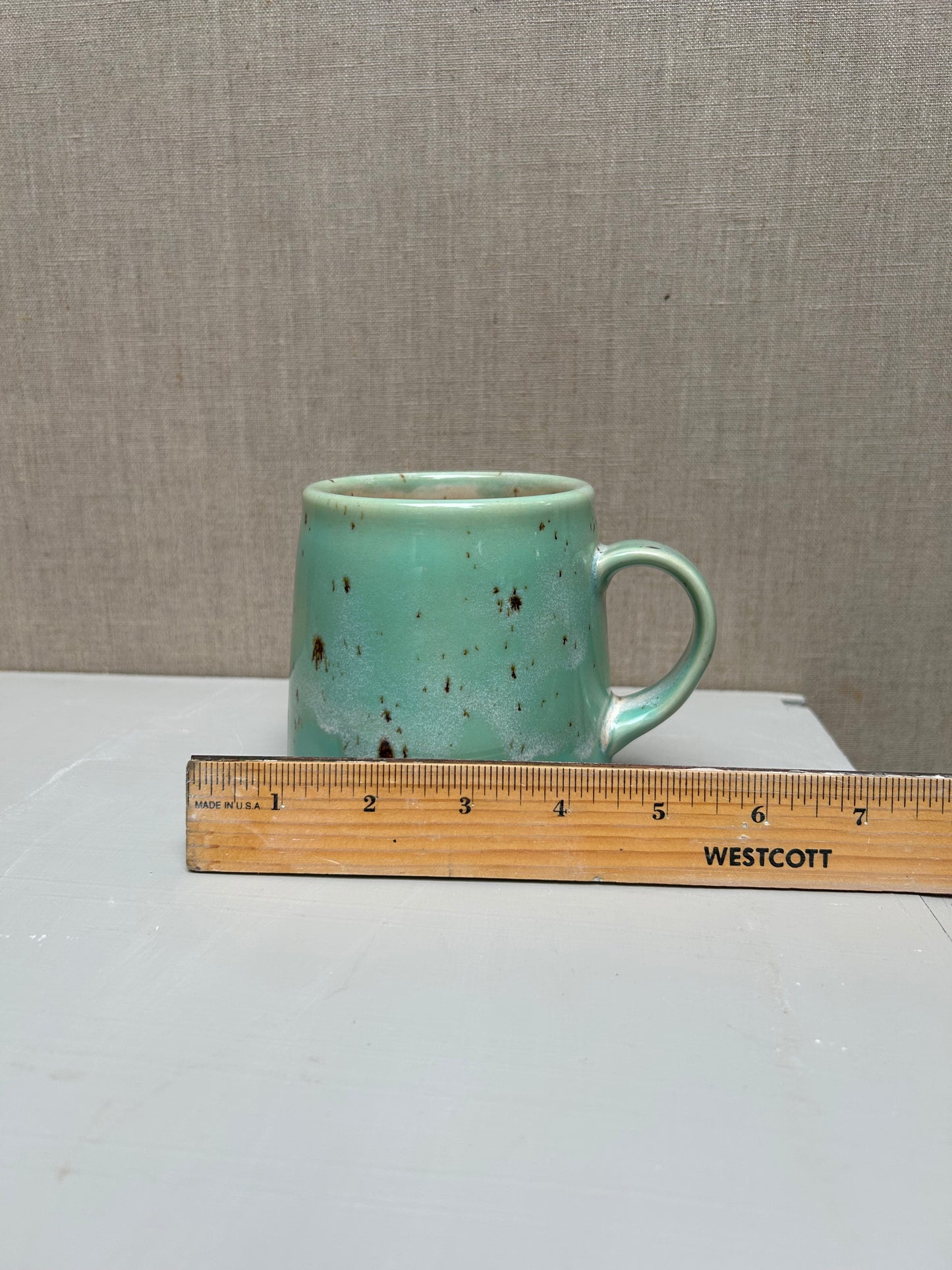 Succulent Green and River Birch Mug 2