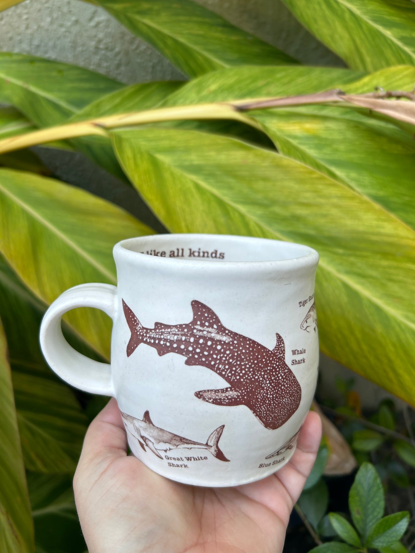 Shark Kind Mug E