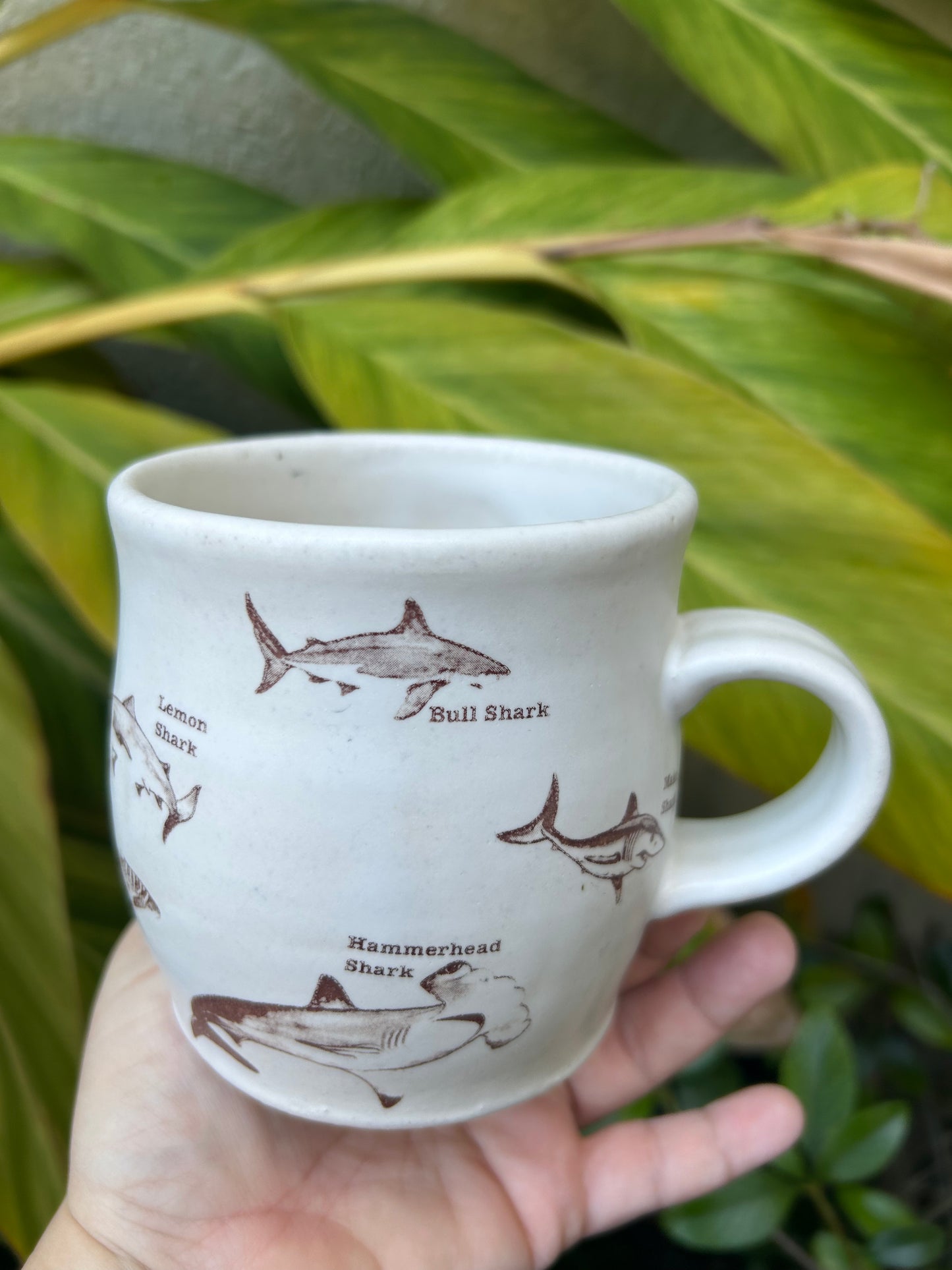 Shark Kind Mug E