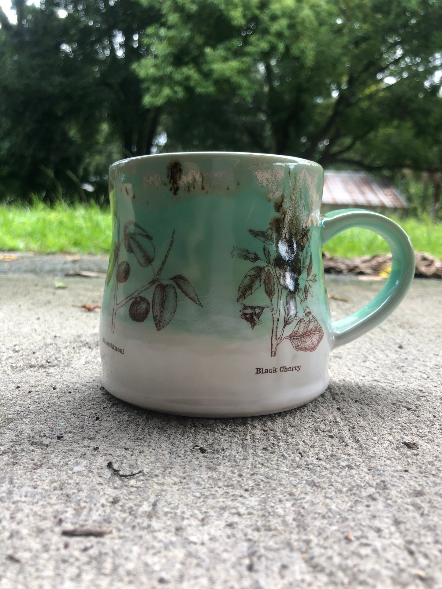 Pretty Poison Green Mug