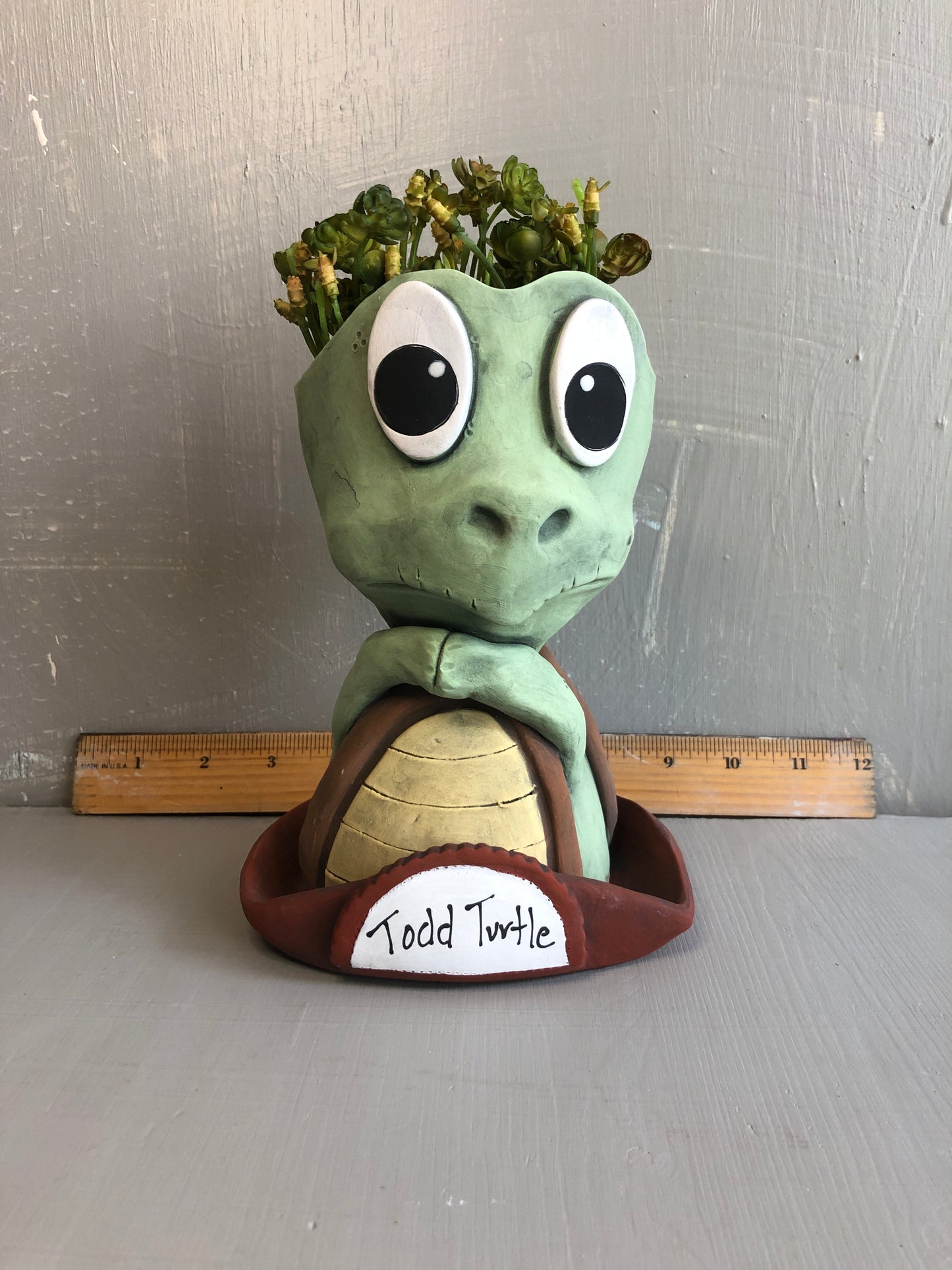 Pothead Turtle Todd