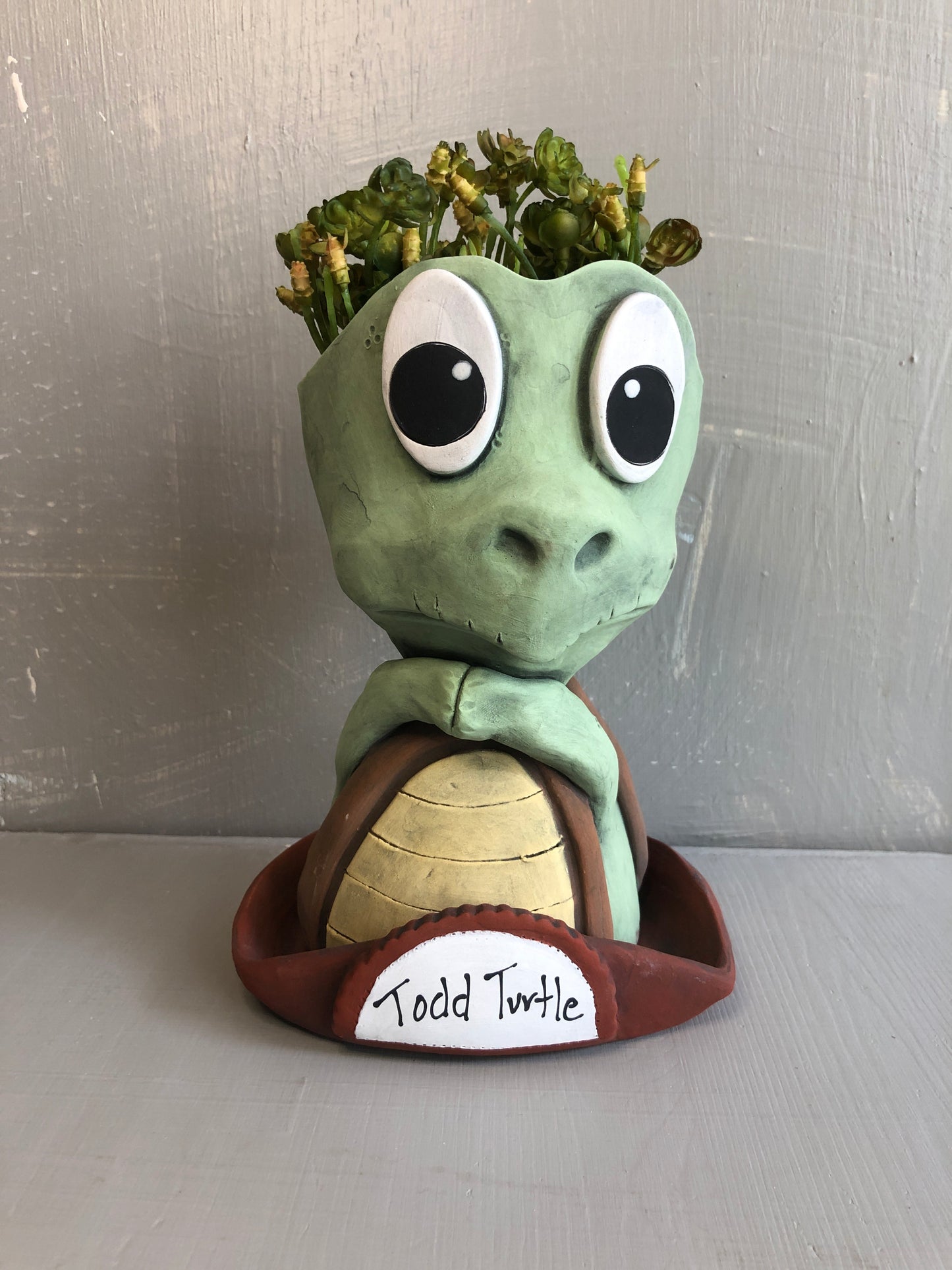 Pothead Turtle Todd
