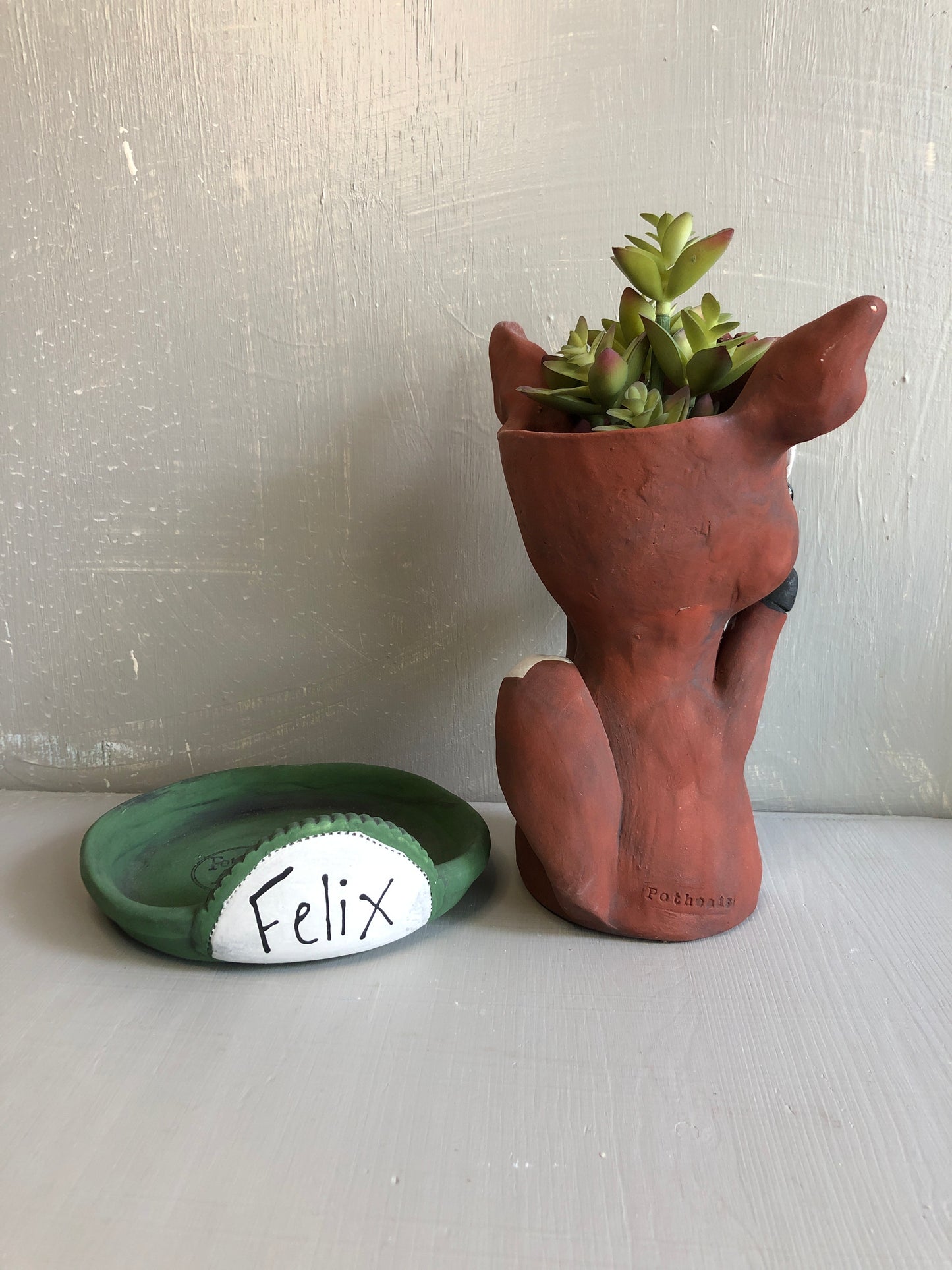 Pothead Felix Fox