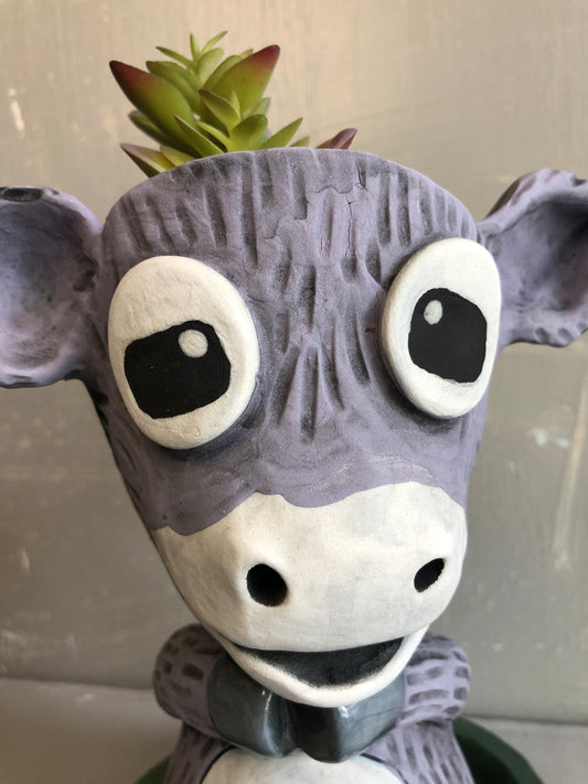 Pothead Geri Goat
