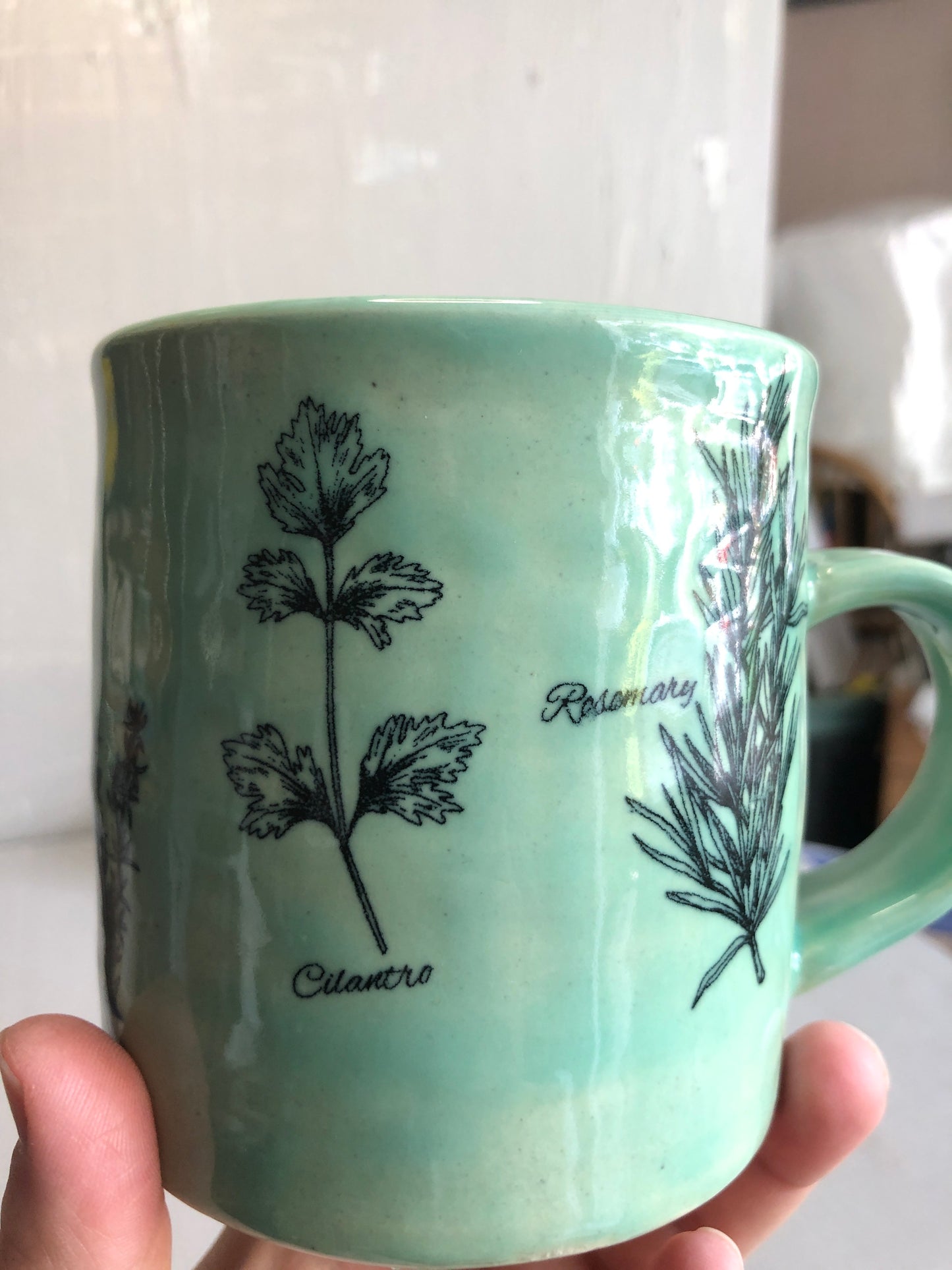 Herb Mug Succulent or Sand